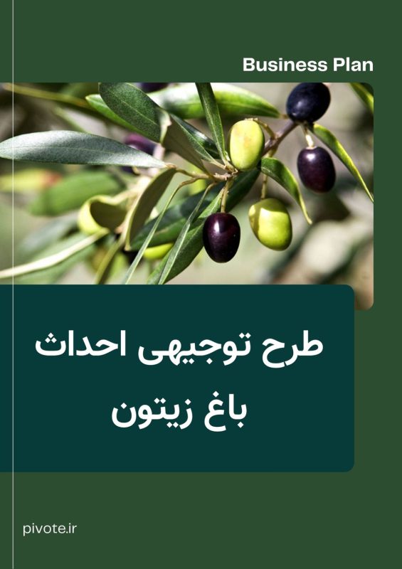 طرح توجیهی احداث باغ زیتون ۲۰ هکتاری